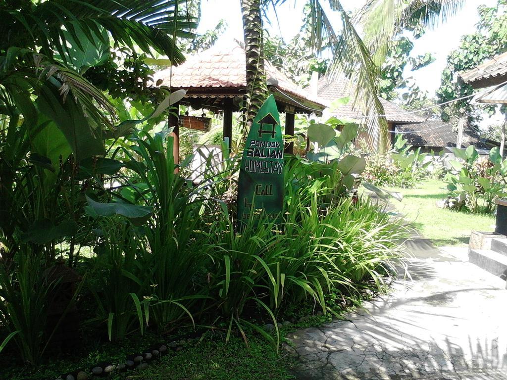 Pondok Balian Selemadeg  Luaran gambar